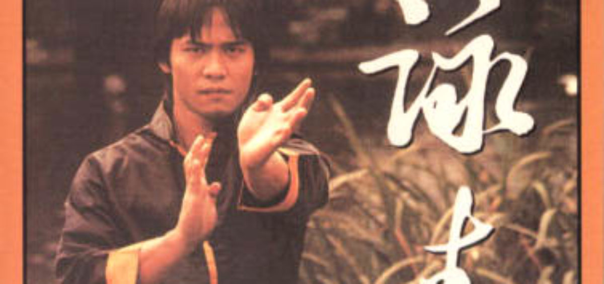 Review Austin Goh's Wing Chun for Beginners DVD Everything Wing