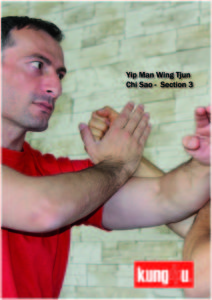 Sifu Taner and Graziano's Chi Sao Section 3