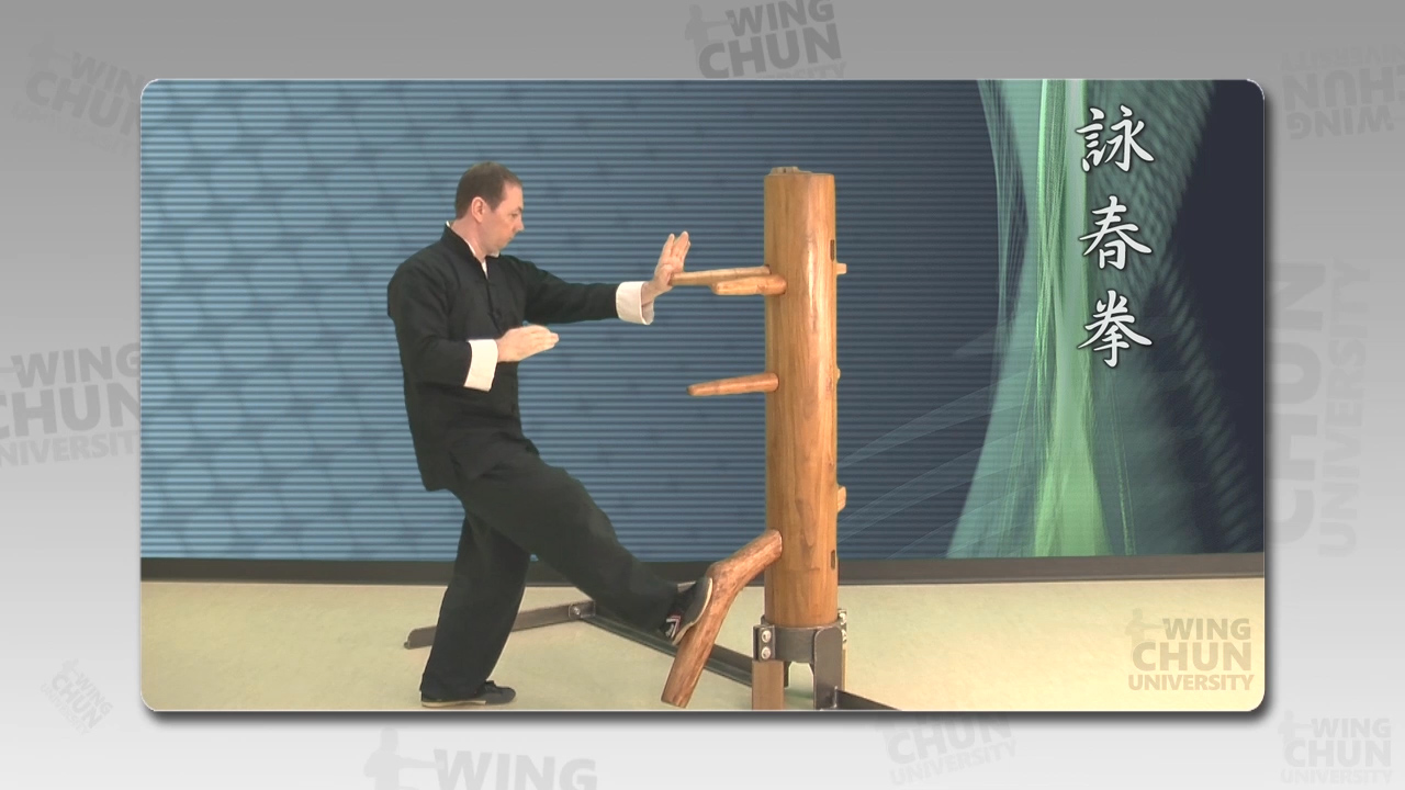 Wing Chun University New App Live! Everything Wing Chun ® Blog