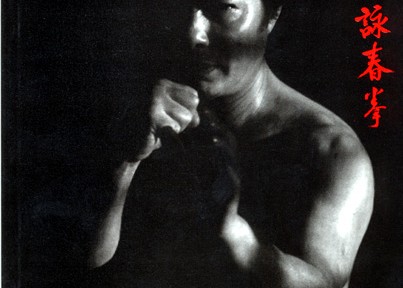 David Peterson's Book, Look Beyond the Pointing Finger: The Combat Philosophy of Wong Shun Leung