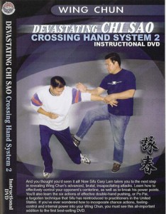 Gary Lam - Devistating Chi Sao 2