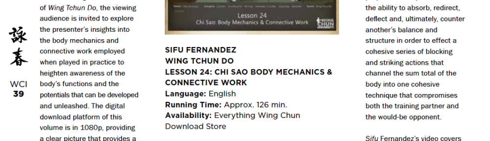 WCI Review – Sifu Fernandez  – Body Mechanics & Connective Work