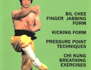Review – Austin Goh’s Wing Chun For Advanced DVD