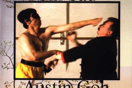 Review – Austin Goh’s Wing Chun Chi Sao Advanced DVD