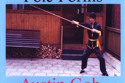 Review – Austin Goh’s Wing Chun Pole Form DVD