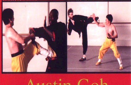 Review – Austin Goh’s Wing Chun Basic Combat DVD