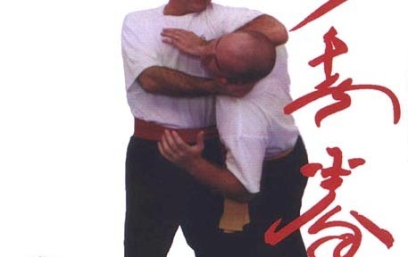 Review – Ian Protheroe’s DVD, The Wing Chun Fighting System