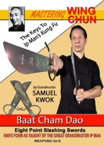 Review - Samuel Kwok - Mastering Wing Chun Vol 6 DVD