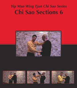 New! Sifu Sergio Chi Sao Part 6