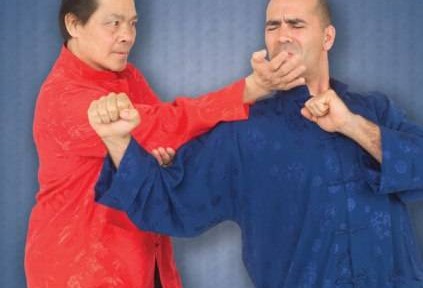 Review – William Cheung’s Wing Chun Kung Fu DVD 1