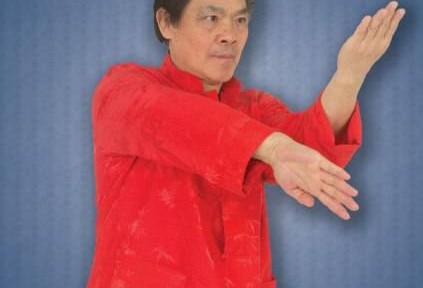 Review – William Cheung’s Wing Chun Kung Fu DVD 2