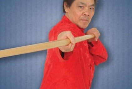 Review – William Cheung’s Wing Chun Kung Fu DVD 4