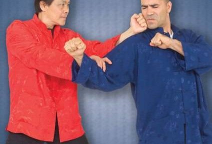 Review – William Cheung’s Wing Chun Kung Fu DVD 5