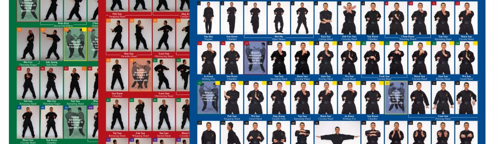 New! Sam Chan – Wing Chun Kung Fu Poster Set