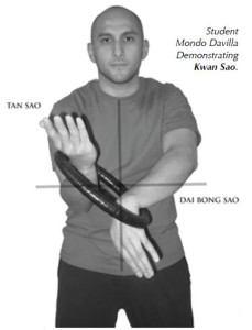 how to hold wing chun ring