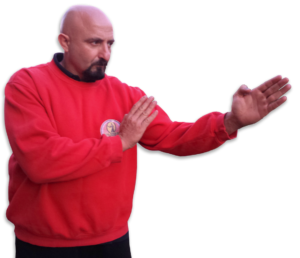 sifu fernandez