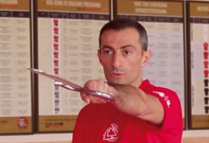 Sifu Taner’s Thoughts on Training the Wing Chun Swords