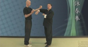 wing chun dummy applications