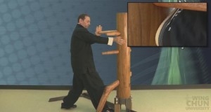 wing chun wooden dummy